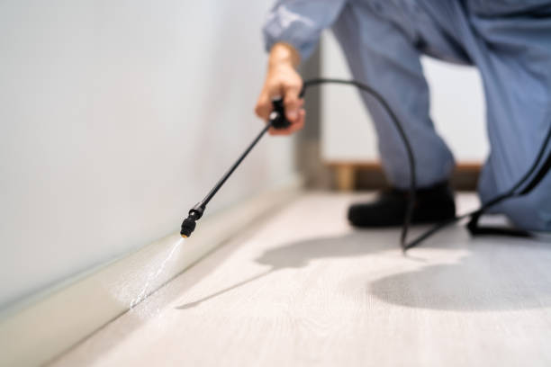 Licensed Pest Control service in Columbia, MO - Show Me Pest Control