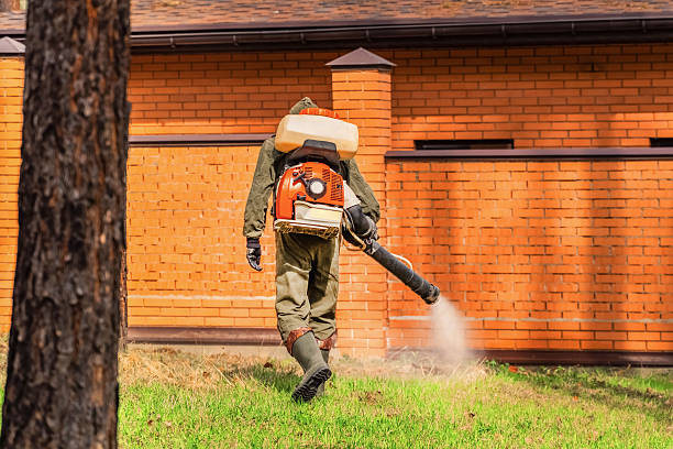 Top rated local Mosquito Control specialists in Columbia, MO
